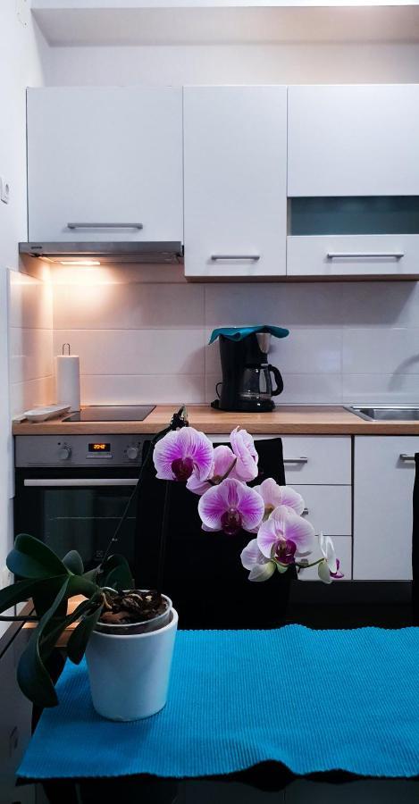 Radenka Zafron Apartment โวดีเซ ภายนอก รูปภาพ